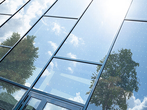 BIRDPROTECT Saflex® FlySafe™ 3D